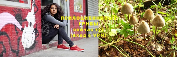2c-b Вязьма