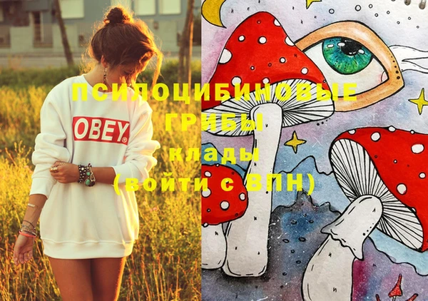 прущий лед Вязники