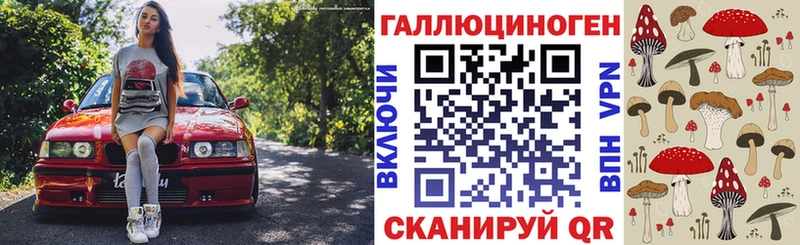 mega tor  Лысьва  Псилоцибиновые грибы Psilocybe 
